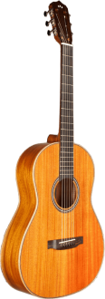 Cordoba Leona L9-E Elektro Akustik Gitar