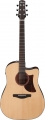 Ibanez AAD170CE resim
