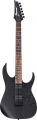 Ibanez RGRT421 resim