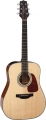 Takamine GD15E resim