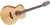 Takamine GN20 Akustik Gitar