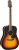 Takamine GD51 Akustik Gitar