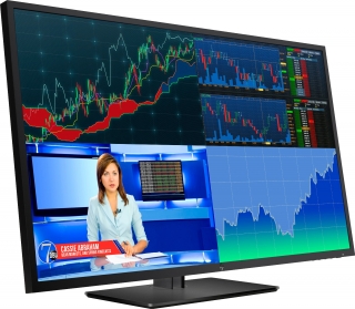 HP Z43 (1AA85A4) Monitör