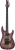 Schecter C-6 Pro FR Elektro Gitar