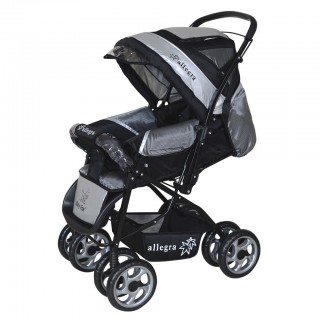 Baby Fox Alegra Delux Bebek Arabası