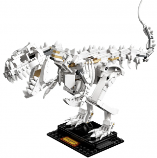 LEGO Ideas 21320 Dinosaur Fossils