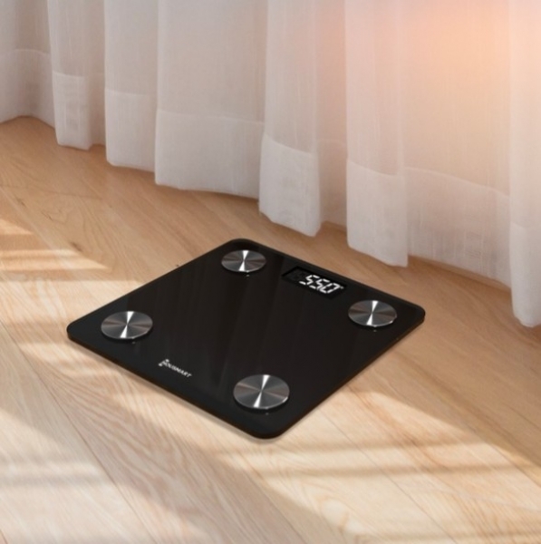 Housmart HS101 Dijital Banyo Tartısı