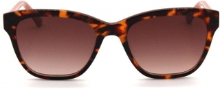 Calvin Klein CK-19524S-249