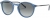 Vogue 5432S-2983/11-51