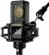 Lewitt LCT 441 Flex Mikrofon