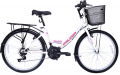 Falcon Belleza 24 resim