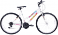 Falcon Felicita 26 resim