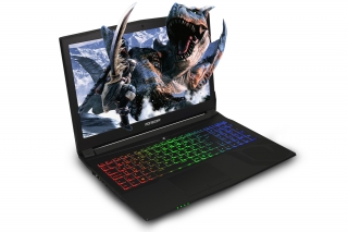 Monster Tulpar T5 V13.1 Laptop