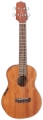 Takamine EGUT1 resim