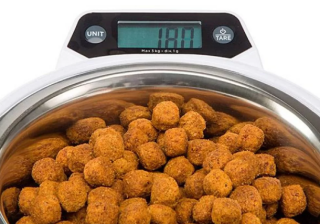 Ferplast Optima Bowl Mama Kabı