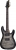 Schecter C-6 Plus Elektro Gitar