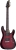Schecter C-6 Plus Elektro Gitar