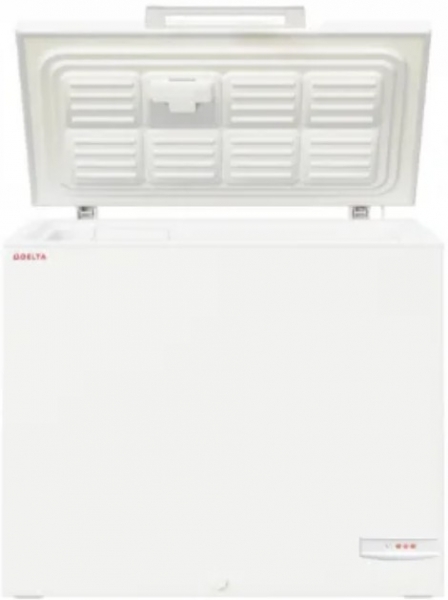 Delta DCF 250 D/S Derin Dondurucu