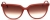 Calvin Klein CK-21706S-830