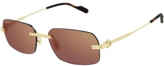 Cartier CT0271S-004