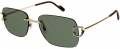 Cartier CT0330S-005 resim
