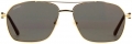 Cartier CT0306S-003 resim