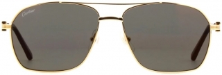 Cartier CT0306S-003