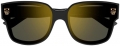 Cartier CT0357S-001 resim