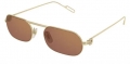 Cartier CT0112S-003 resim