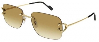 Cartier CT0330S-003
