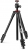 Joby Compact Light Kit Tripod