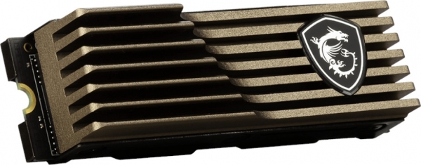 MSI Spatium M460 SSD (1 TB)