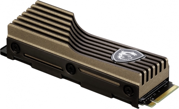 MSI Spatium M460 SSD (1 TB)