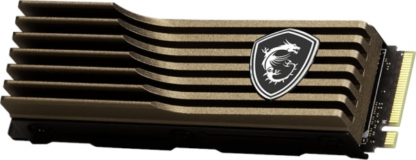 MSI Spatium M460 SSD (2 TB)