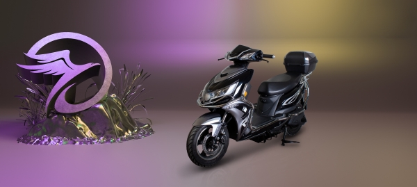 Falcon Enjoy Plus Scooter