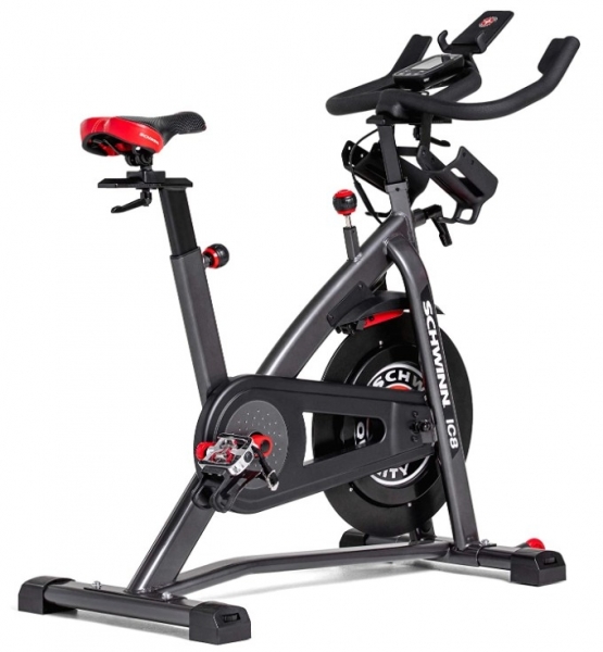 Schwinn 800IC Dikey Bisiklet