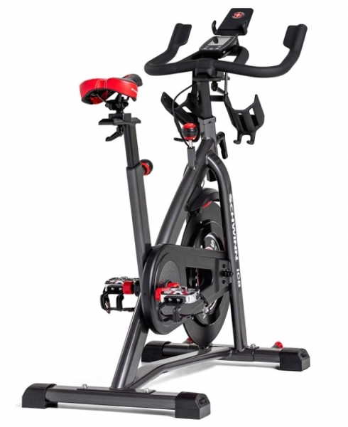 Schwinn 800IC Dikey Bisiklet
