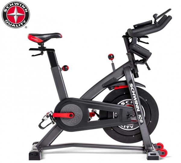 Schwinn 800IC Dikey Bisiklet