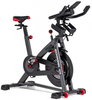 Schwinn 800IC Dikey Bisiklet