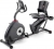 Schwinn 510R Yatay Bisiklet
