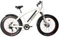 Citycoco Fatbike resim