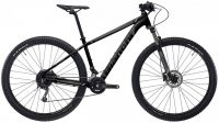 Bianchi Magma 9.1 resim