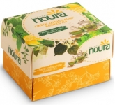 Noura Natural Dökme Ihlamur Limon Nane Çayı 50 gr resim