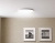 Xiaomi Mi Smart LED Tavan Aydınlatması (450 mm)