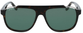 Salvatore Ferragamo SF-1011S-219-58