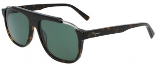 Salvatore Ferragamo SF-1011S-219-58