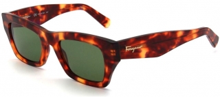 Salvatore Ferragamo SF-996S-214