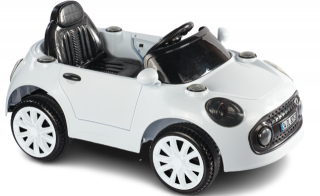 Dolu 8093 Willy 12V