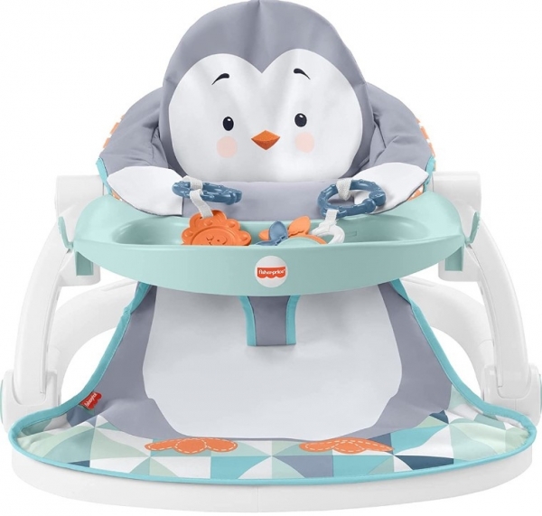 Fisher Price HBF27 Penguen Adası Ana Kucağı