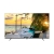 Telenova 43S1101K Full HD (FHD) TV
